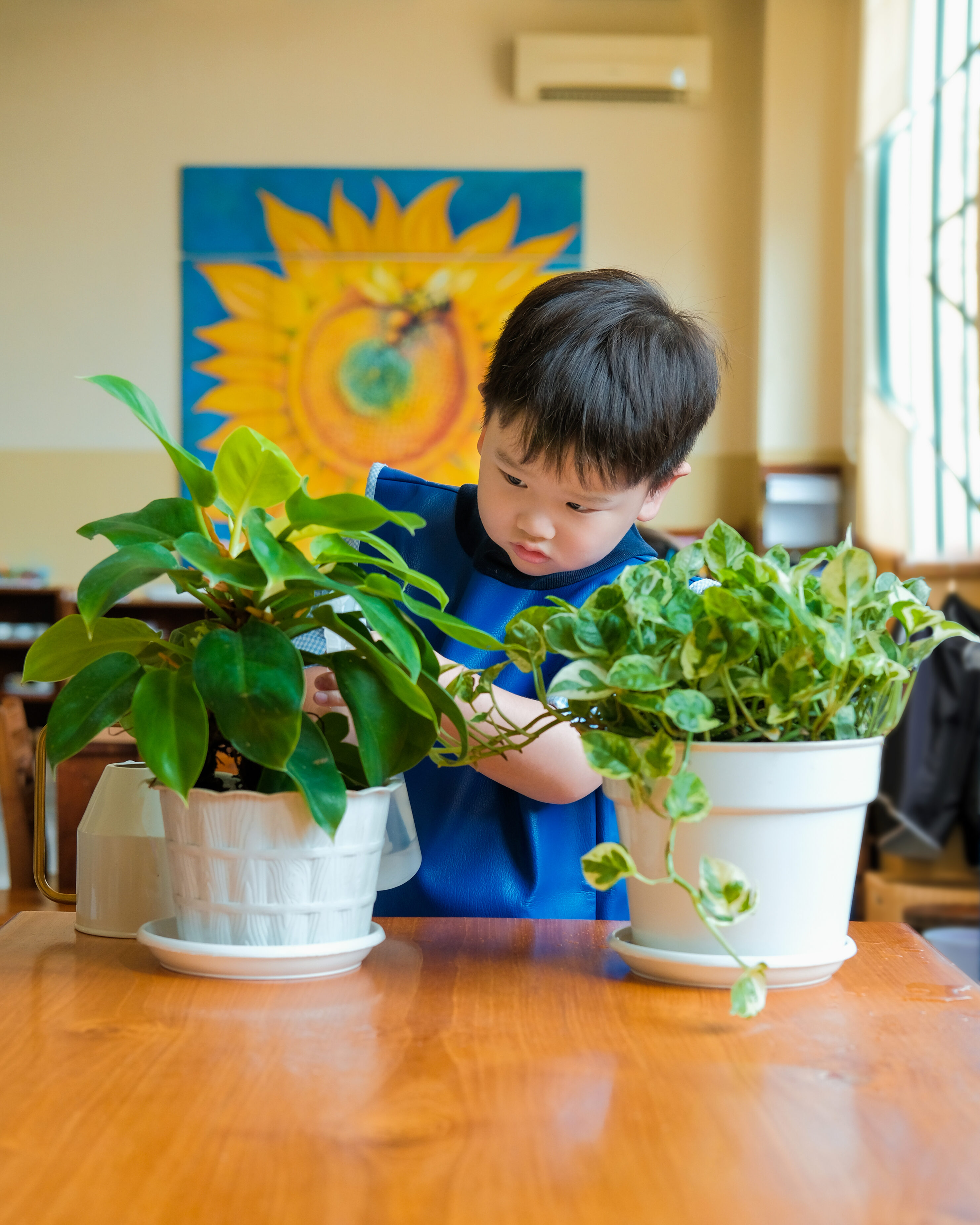 Rooted in Growth: The Power of Gardening in Montessori Education at Surabaya European School